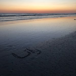 Meet your Posher, Lilybeth